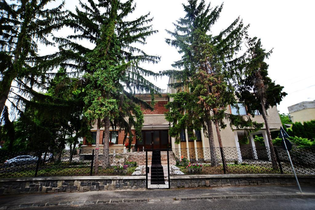 Hotel Casa Negustorului Deva Exteriér fotografie