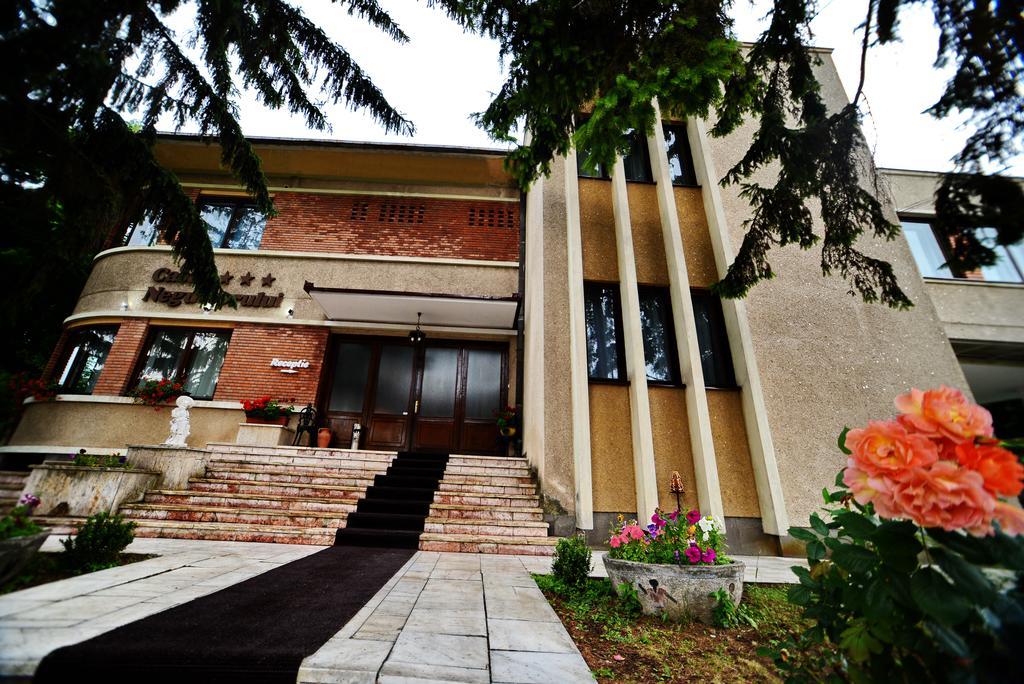 Hotel Casa Negustorului Deva Exteriér fotografie